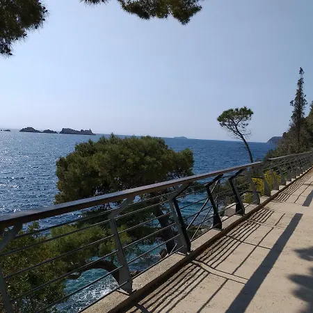 Apartment Sendi 5 Min From The Dubrovnik